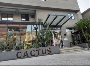 cactus